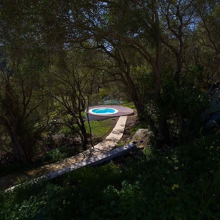 Agroturismo Suites Hacienda Los Olivos Santa Brigida  Ngoại thất bức ảnh